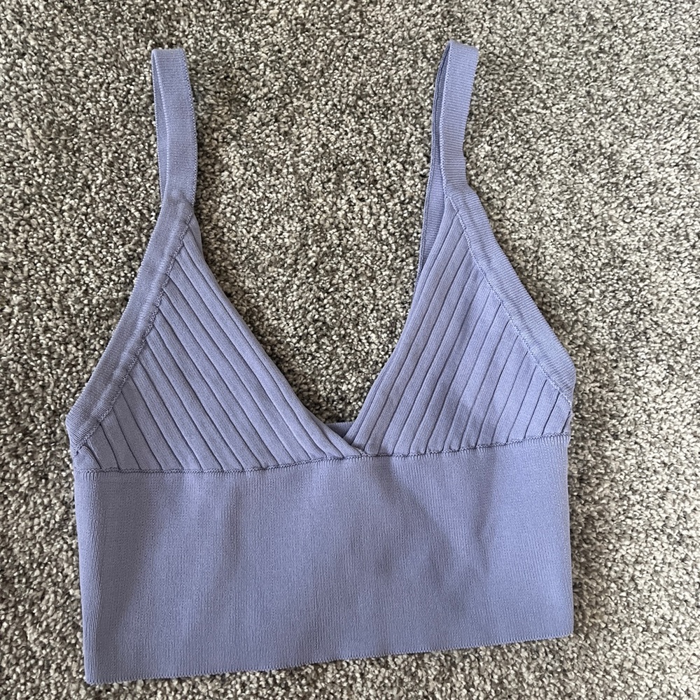 Zara Periwinkle crop top